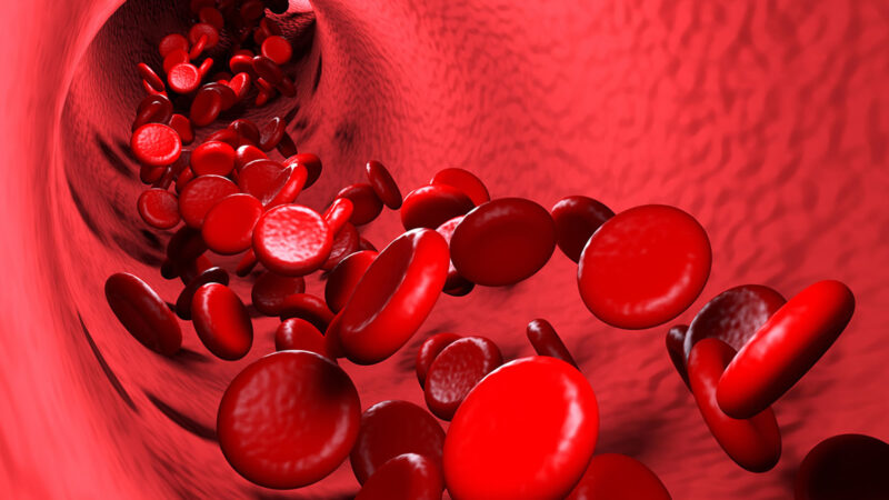 血液をサラサラにするには