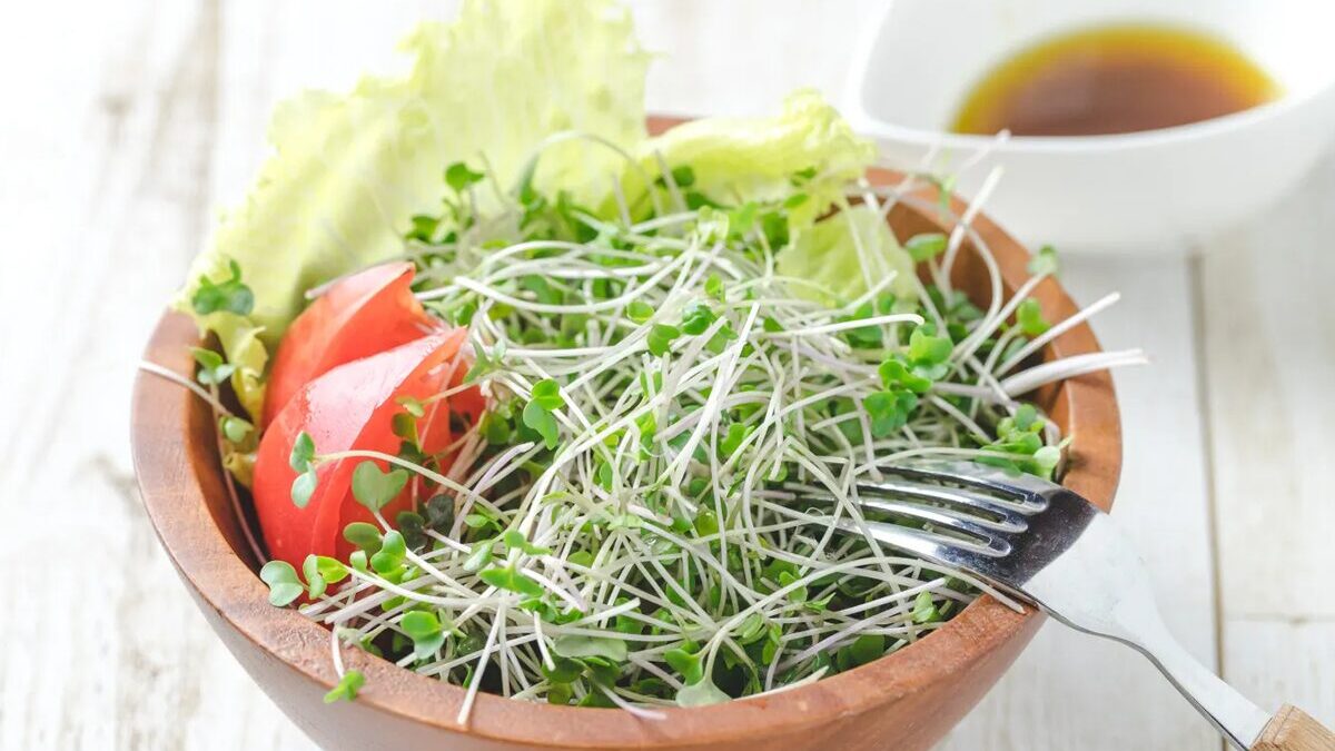 安くて最強、ブロッコリースプラウトの栄養価