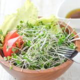 安くて最強、ブロッコリースプラウトの栄養価