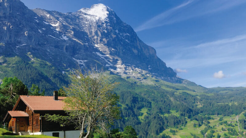 予防こそ最高の贅沢